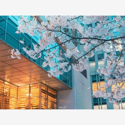 乐鱼app官网下载官方版